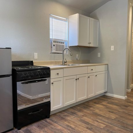 kitchen with refrigerator, stove and dishwasher